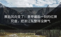 赛后风向变了：意甲最后一刻的红牌尺度，把浙江队整得没脾气